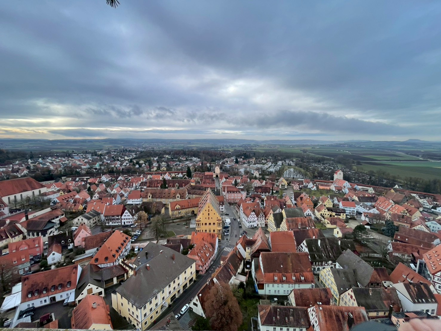 ドイツ研修　2025　4日目～もみの木視察の旅～